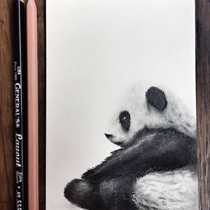 Meet your Posher, Sophia